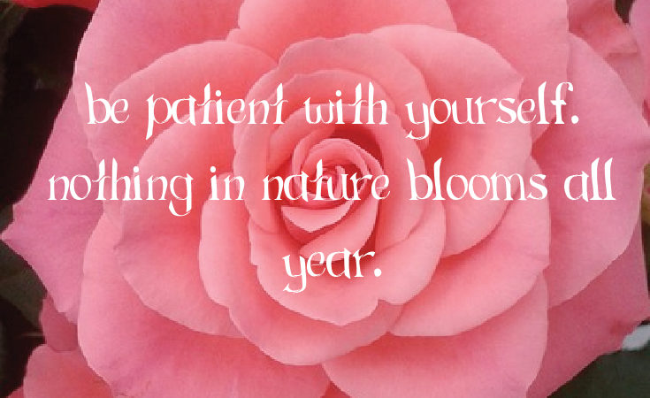 Need some motivation, remember this: Be patient with yourself. Nothing in nature blooms all year.