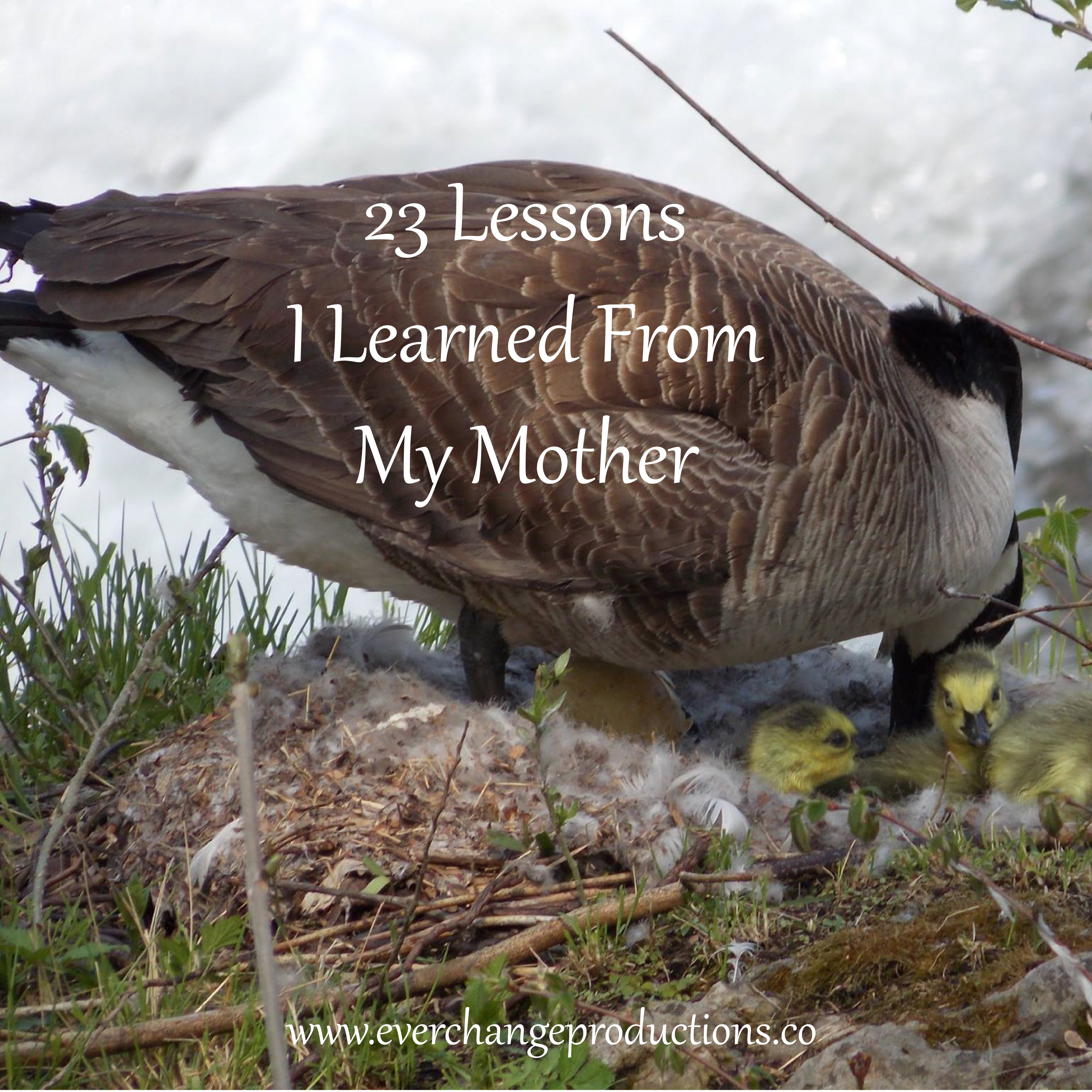 23 Lessons My Mother Taught Me- One for each year I've been alive