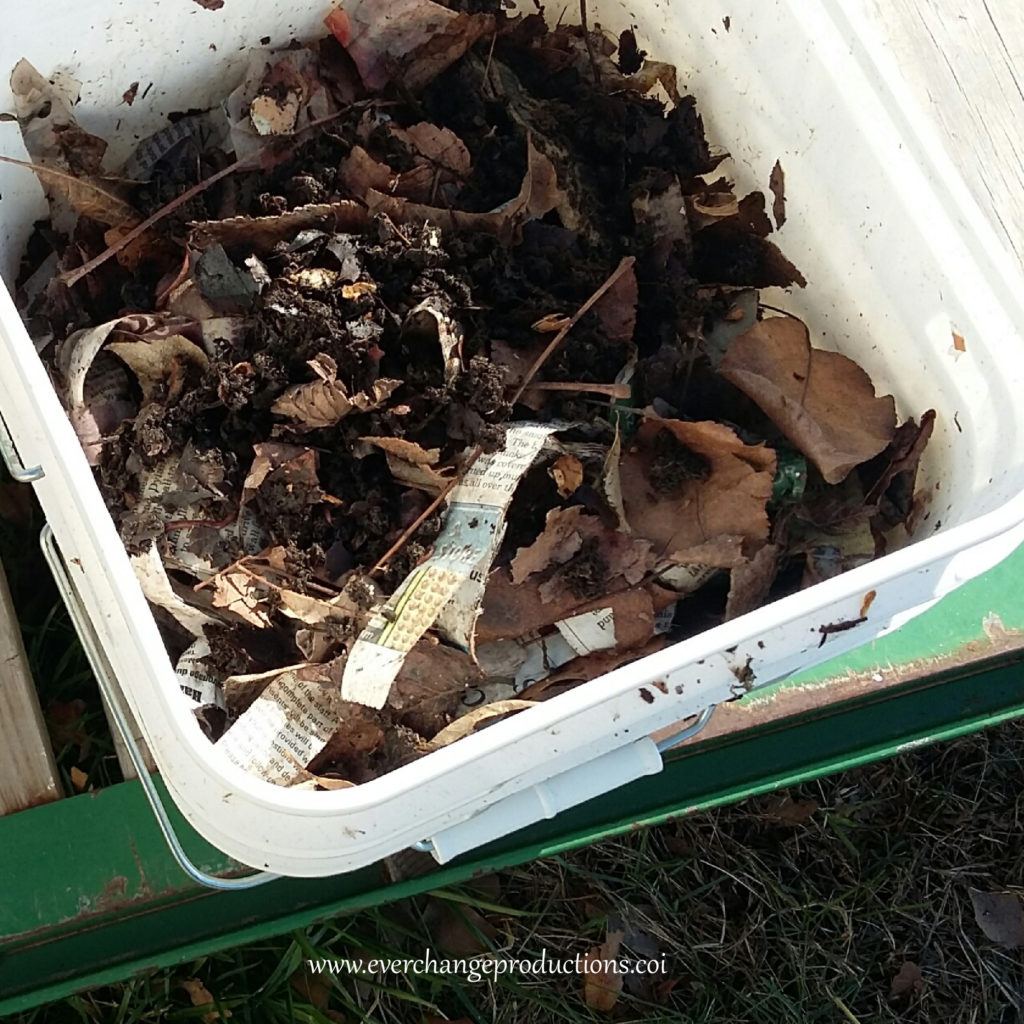 DIY Build Your Own Vermicomposting Factory Step 2