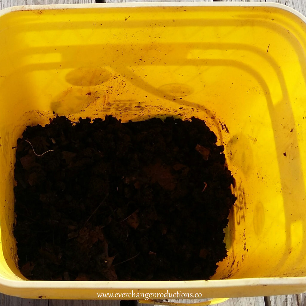 DIY Build Your Own Vermicomposting Factory Step 4