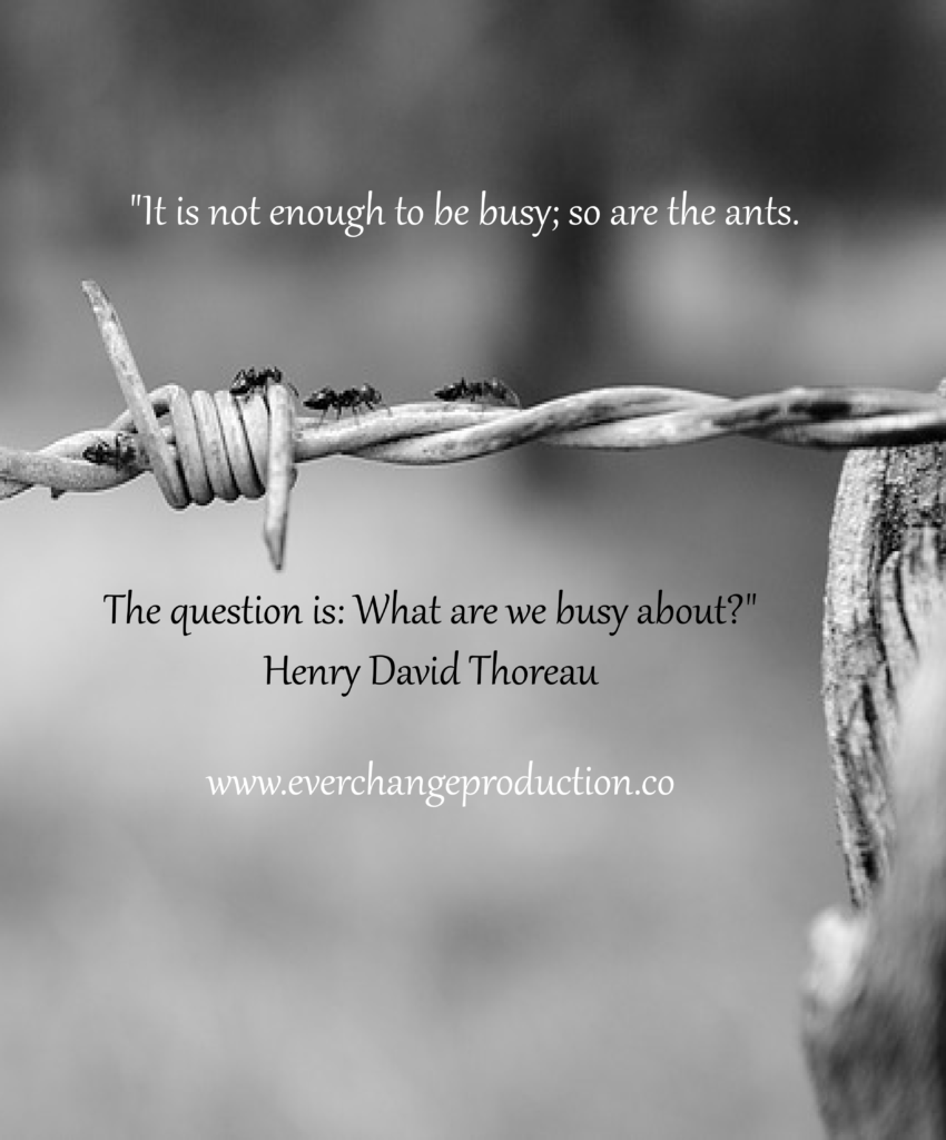 Need some Monday Motivation to start your week off? Just remember: "It is not enough to be busy; so are the ants. The question is: What are we busy about?" Henry David Thoreau