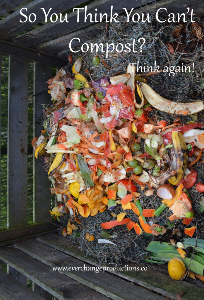 Backyard composting and even apartment composting is possible thanks to these home composting system options. 