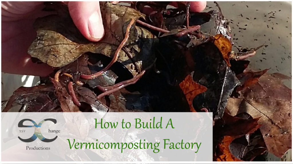 How to Build A Vermicomposting Factory