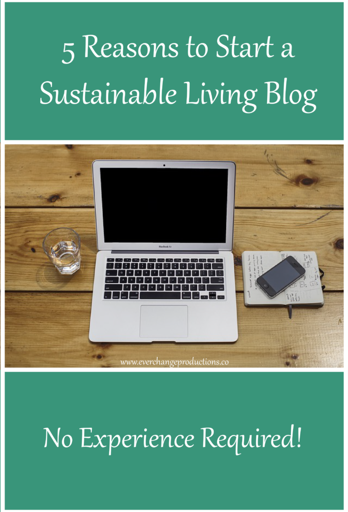 5 Reasons to Start a Sustainable Living Blog- No Experience Required!