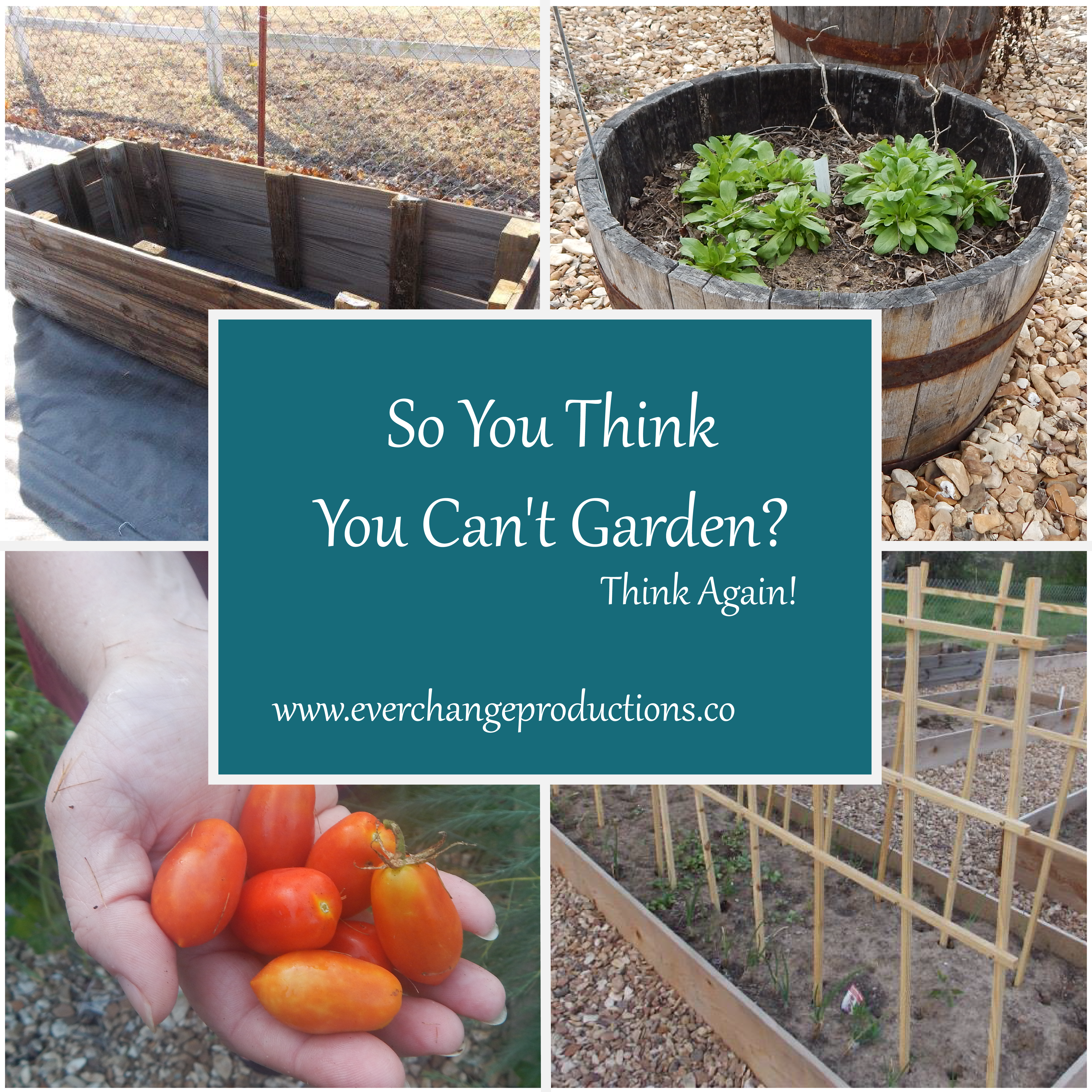 So you think you can't garden? Think again! Start slow and easy with a small space garden!
