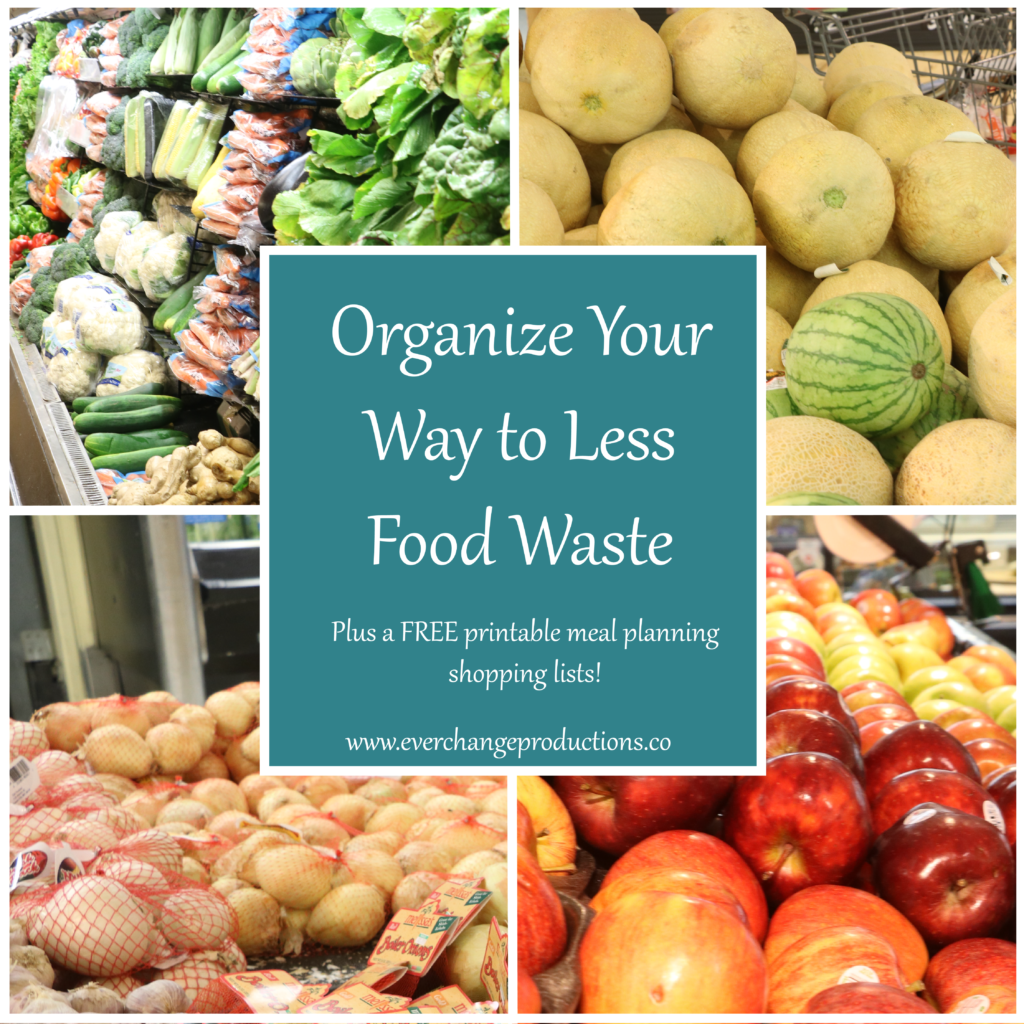 Tired of wasting food? With these simple guides, you can learn to meal plan like a pro to save money and waste. 