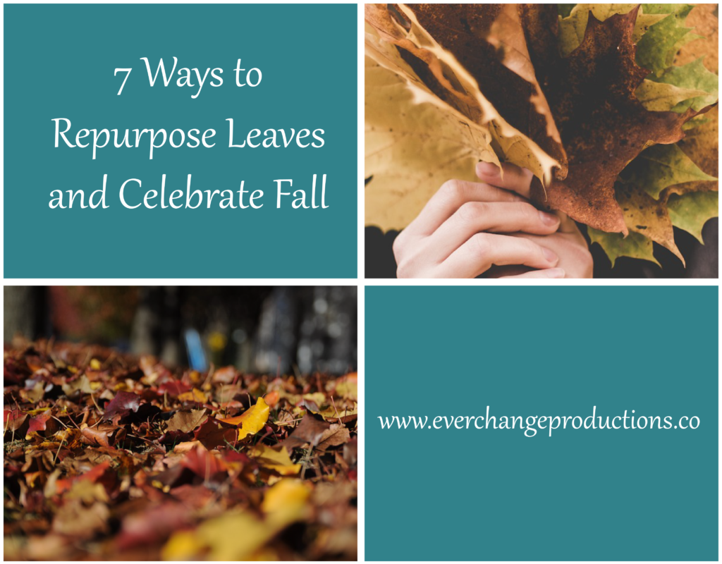 There are so many good uses for the fall leaves. Instead of packing them away in the landfill, we can repurpose leaves and celebrate fall!