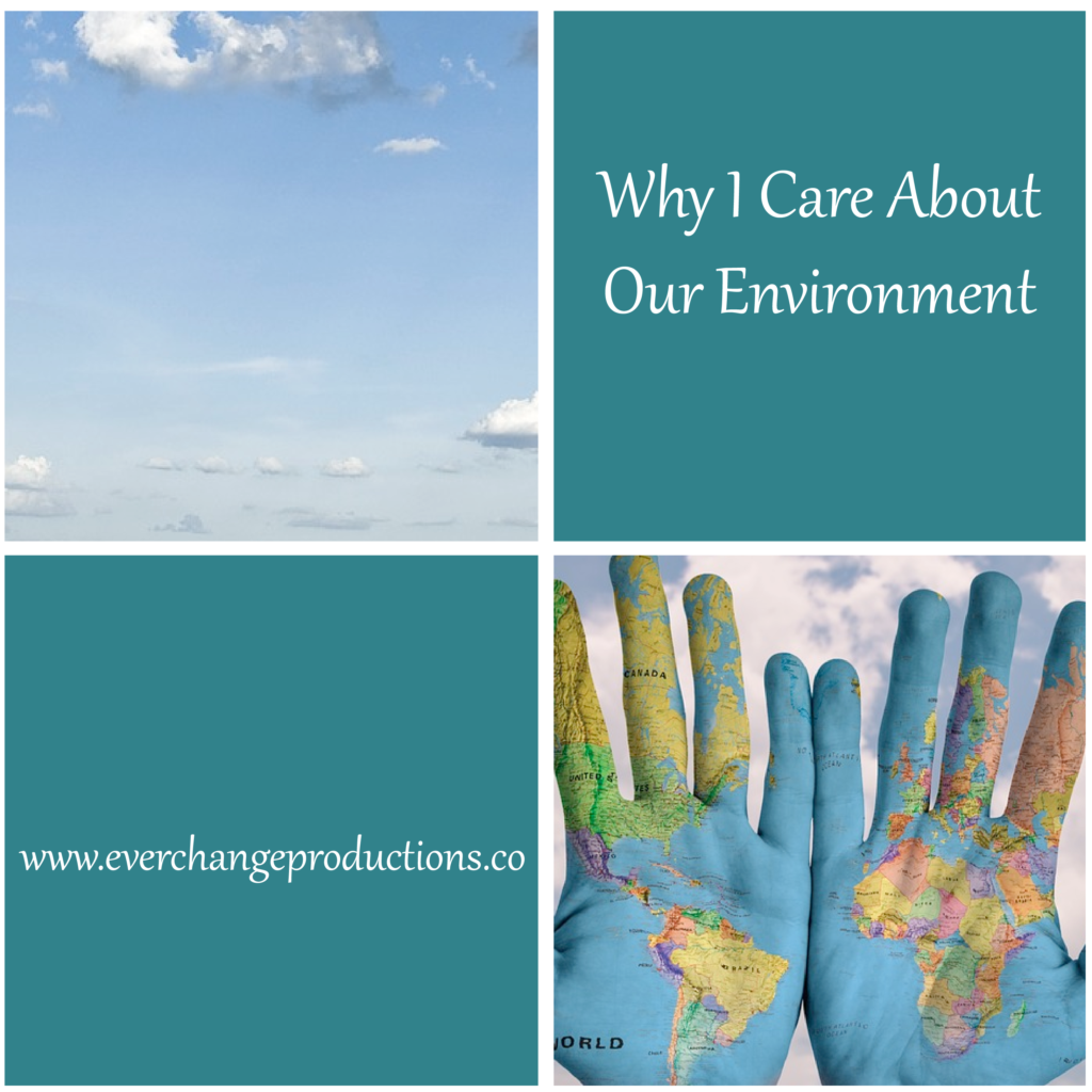There are so many reasons why we should put in more effort to care about our environment. Learn more about my journey and reasons for environmental concern.