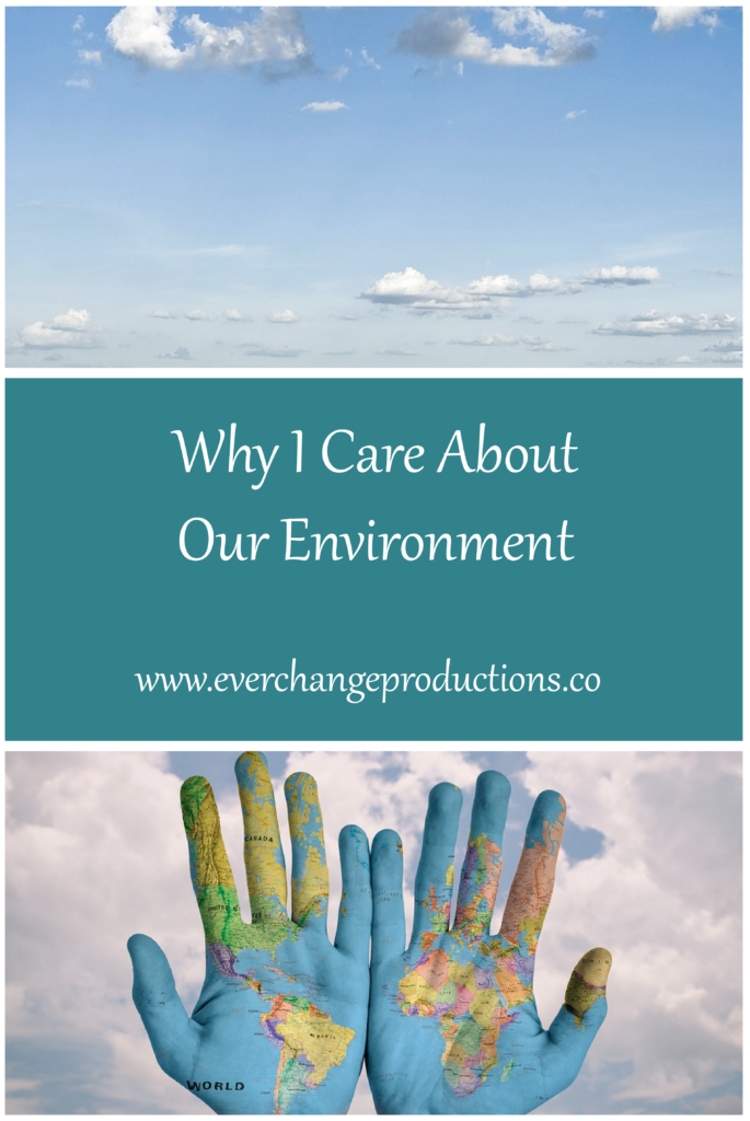 There are so many reasons why we should put in more effort to care about our environment. Learn more about my journey and reasons for environmental concern.