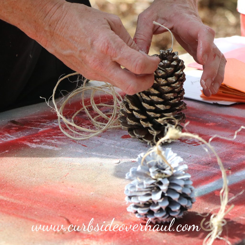 Step Two: Use to Decorate  There is no end to the amount of ways you can use these decorations. You can tie some twine around the middle to use them as ornaments, fill a bowl or a clear vase, or even scatter them on the table. it's up to you and your personal taste, but it's a great way to add a rustic feel to your modern decor or to bring the outside in. Enjoy!