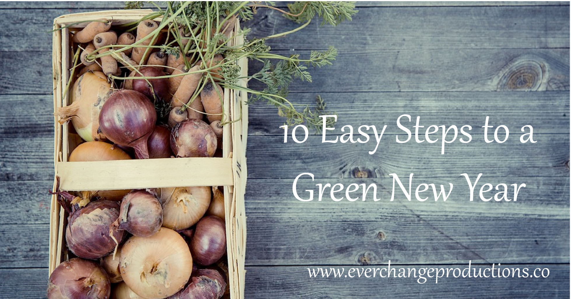 here are so many options for sustainable resolutions. If it seems a bit overwhelming, start with these 10 Easy Steps to a Green New Year.