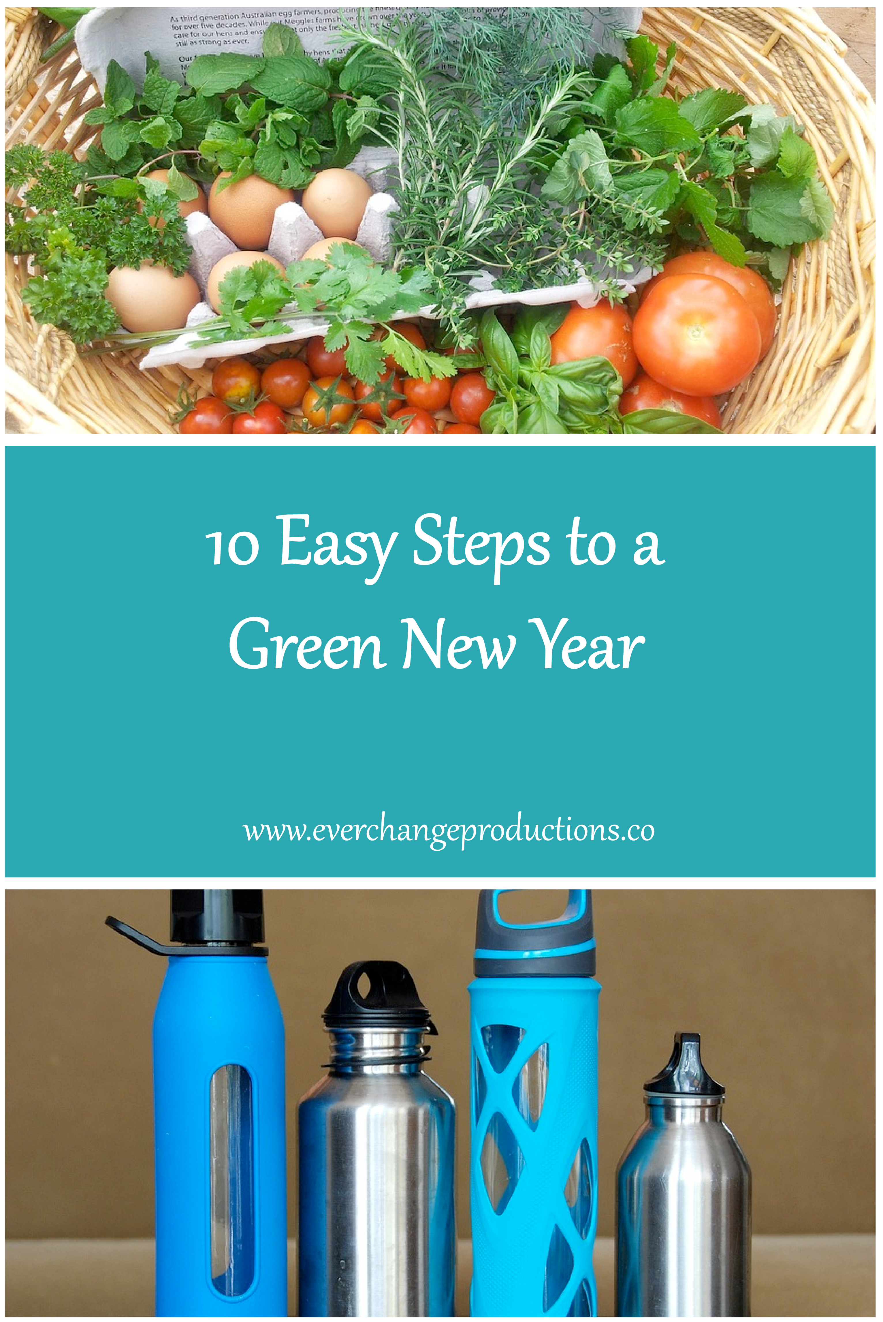 here are so many options for sustainable resolutions. If it seems a bit overwhelming, start with these 10 Easy Steps to a Green New Year.