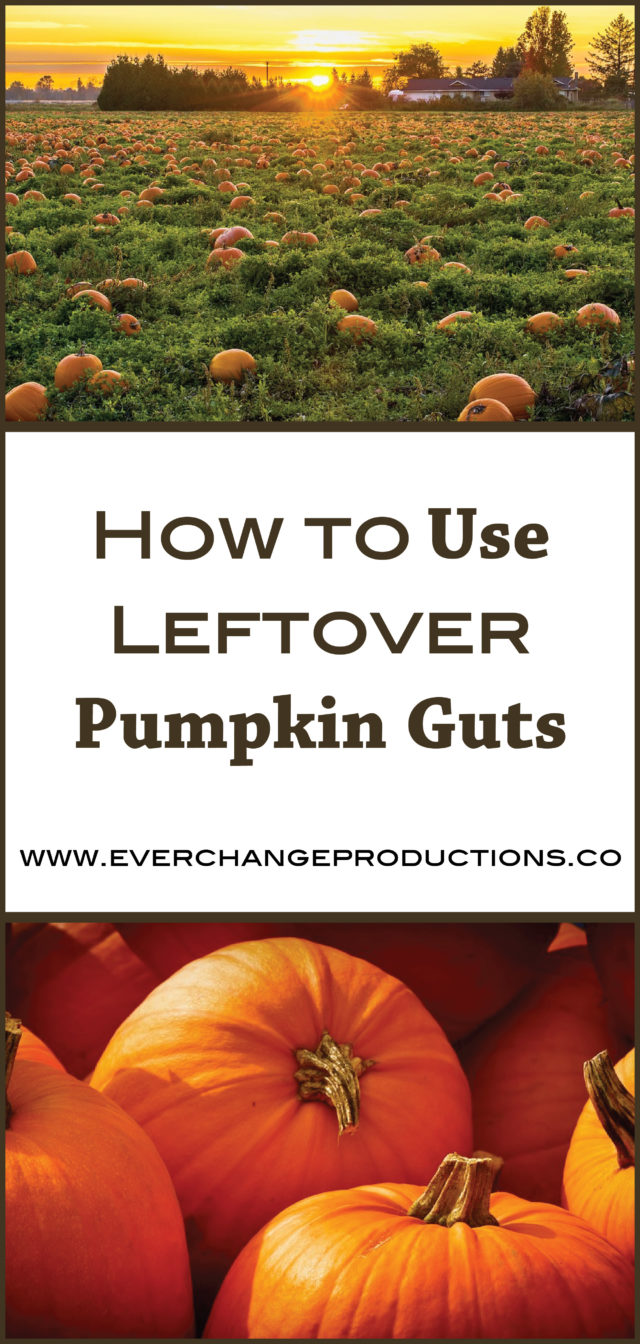 Don't throw out the leftover pumpkin guts. Check out these ways to use pumpkin seeds, pumpkin pulp and pumpkin shell after all the holiday festivities and holiday recipes are over!