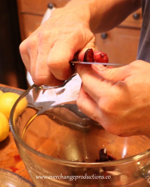 Stem and pit cherries. Chop the cherries into eighths.