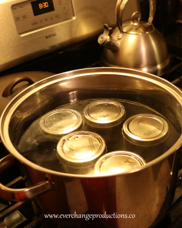 Put the jars into boiling water with 1 to 2 inches of water covering the top. Cook for 10 minutes, then let rest for 5 minutes. Remove jars and place upright on a towel to cool completely.