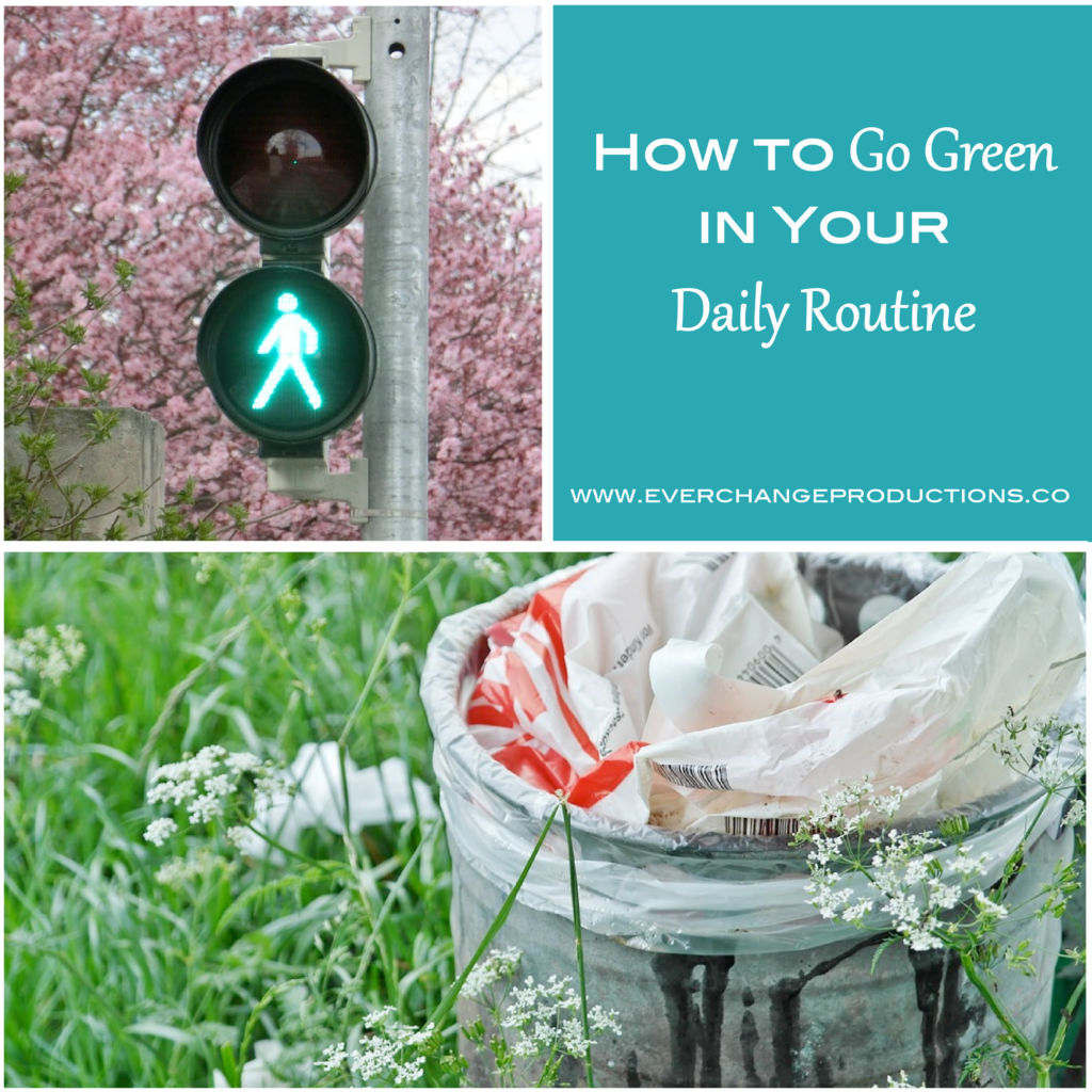 It's easier than you might think go green in your daily routine. Check out these simple green tips to get you started! 