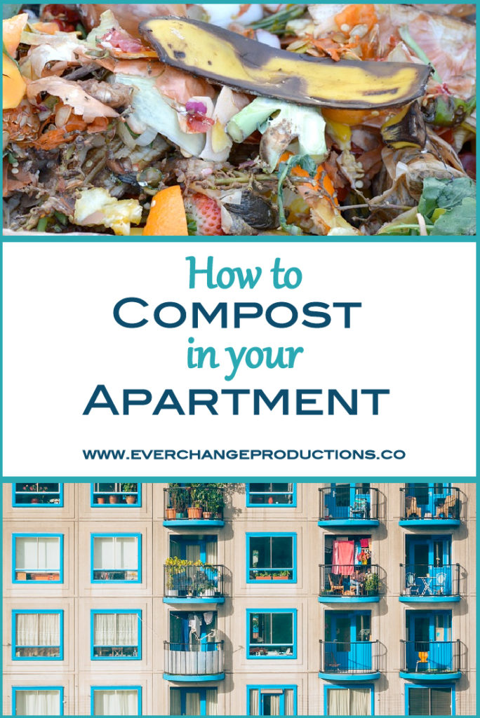 Have you ever wondered how to compost in an apartment? It seems impossible, right? Check out these apartment composting options.