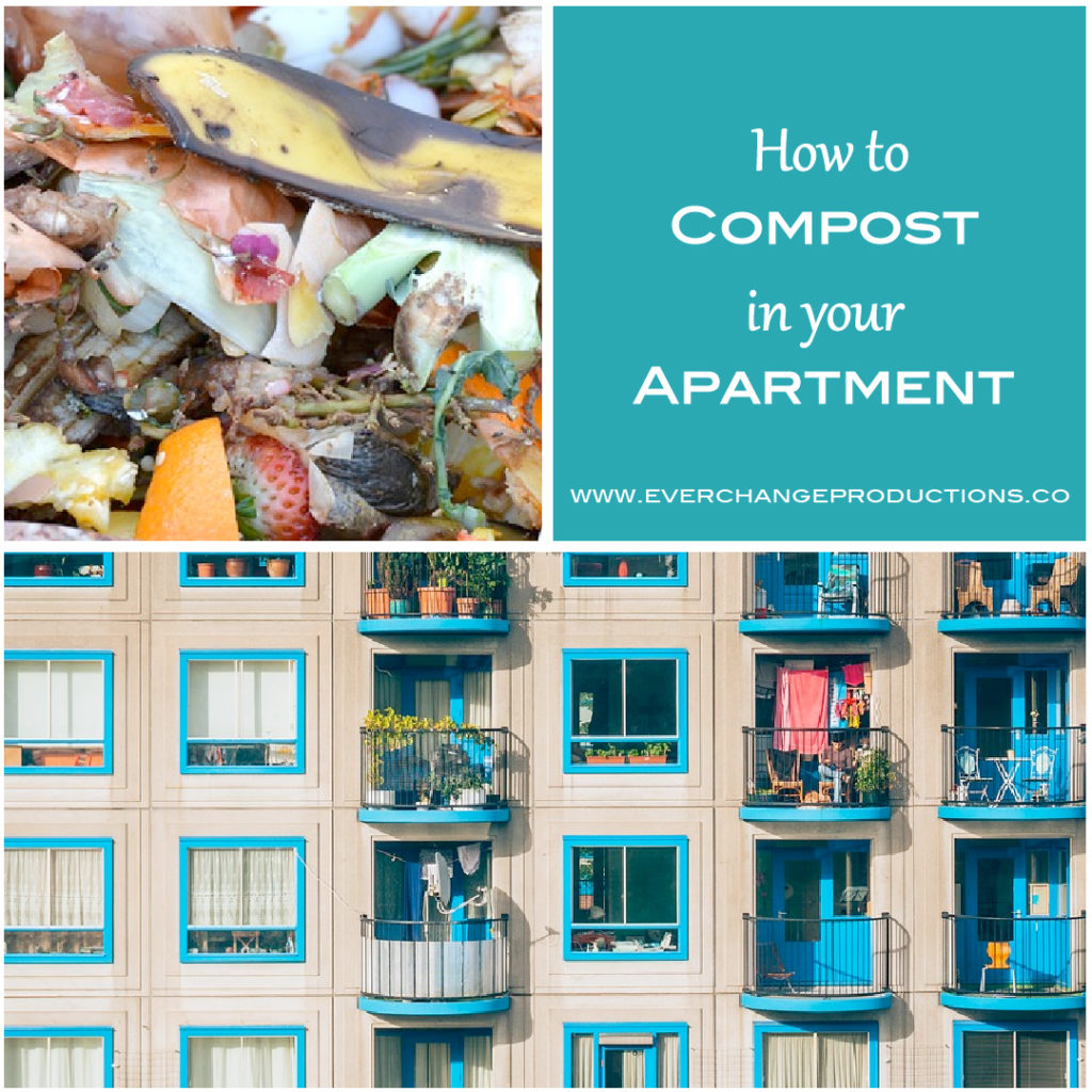 Have you ever wondered how to compost in an apartment? It seems impossible, right? Check out these apartment composting options.