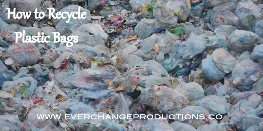 Can you recycle plastic bags? Learn more about the process behind recycling plastic bags and what you can do to help limit their impact.