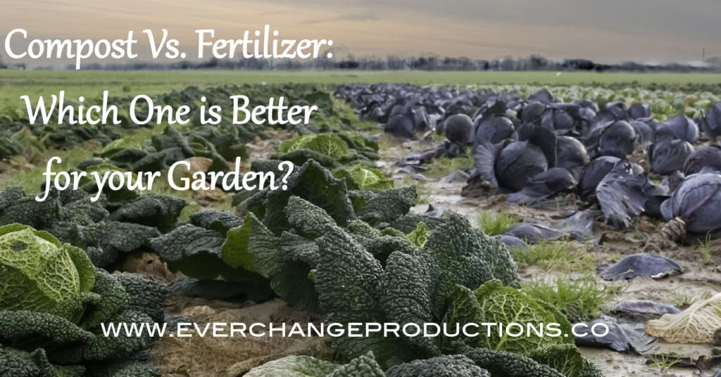 Compost vs. fertilizer. If you are involved with gardening or growing anything from lawn grass to vegetables, you have probably heard these terms tossed around quite a bit. How do you know which one to use? See why there's really no comparing the two.