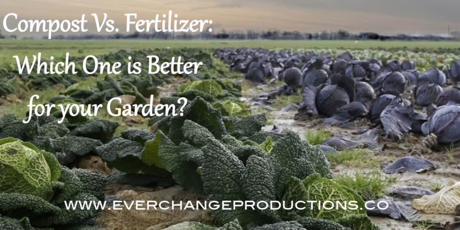 Compost vs. fertilizer. If you are involved with gardening or growing anything from lawn grass to vegetables, you have probably heard these terms tossed around quite a bit. How do you know which one to use? See why there's really no comparing the two.