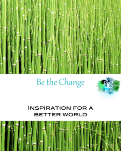 Be the Change you wish to see. This category is filled with inspiration to do your part in making the world a better place. You'll find ideas for random acts of kindness, non-profits to support and local citizens trying to make their community better. 