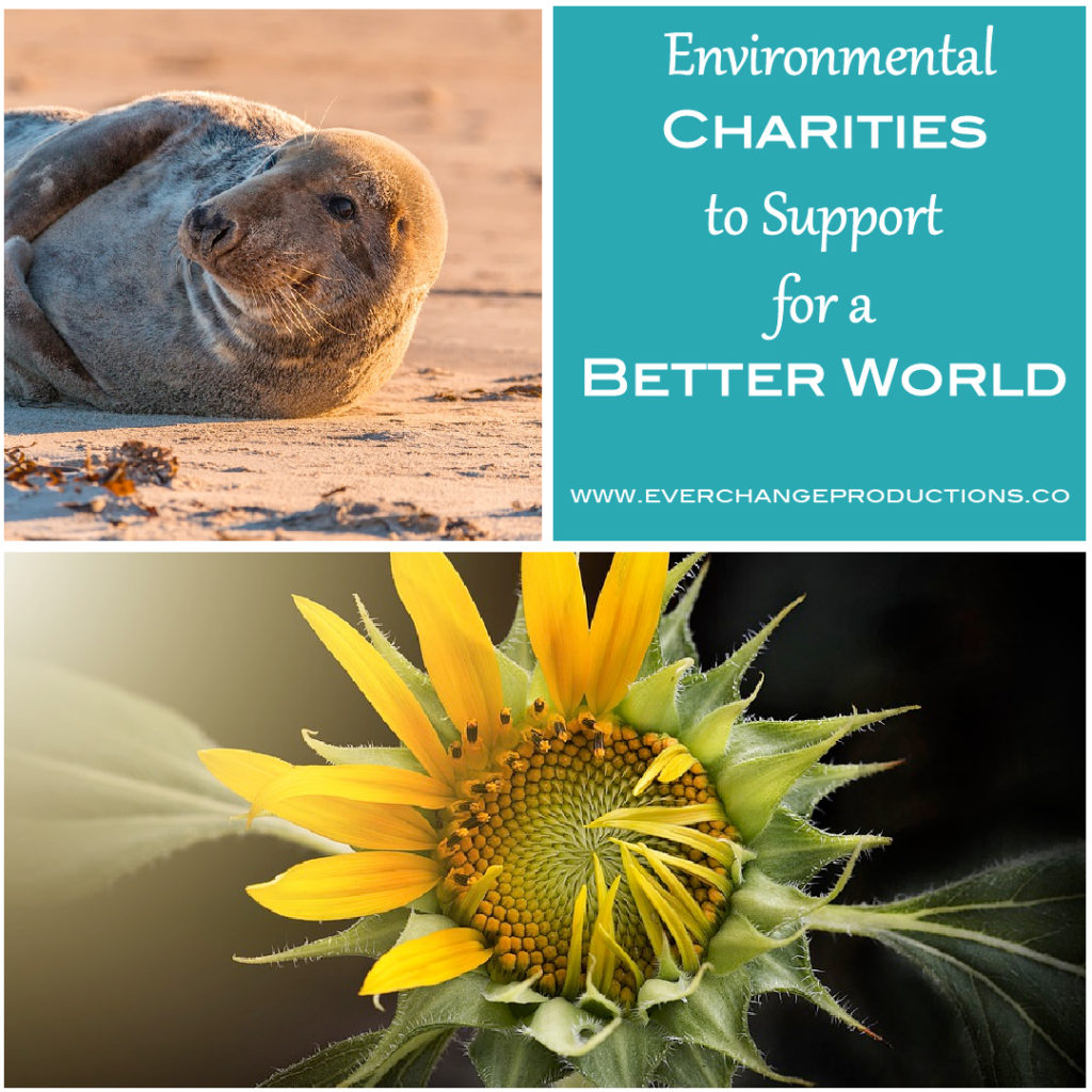 Environmental charities and random acts of kindness are near to my heart. This year to celebrate Random Acts of Kindness week, February 11-17, I decided to share my favorite environmental charities working to make a better world for us.