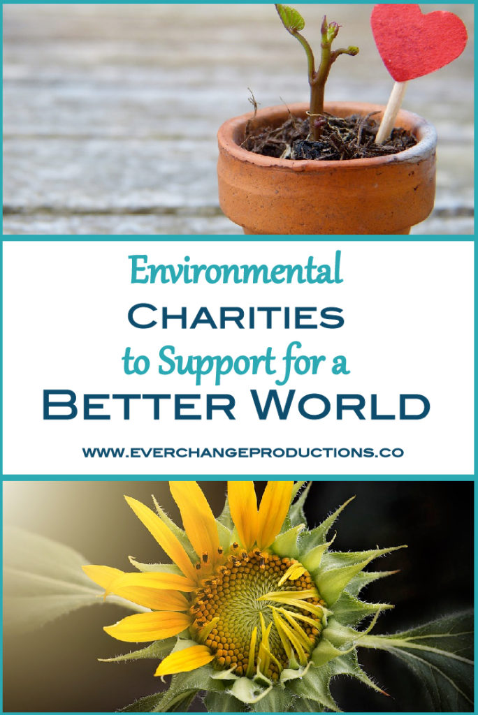 Environmental charities and random acts of kindness are near to my heart. This year to celebrate Random Acts of Kindness week, February 11-17, I decided to share my favorite environmental charities working to make a better world for us.