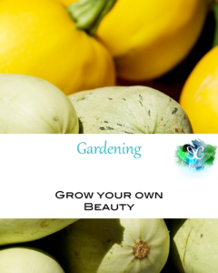 Whether living in apartment or have clay soil, gardening is possible! If you're wanting to learn how to garden in containers, amend soil, compost, or garden in raised beds, these blogs posts are for you.