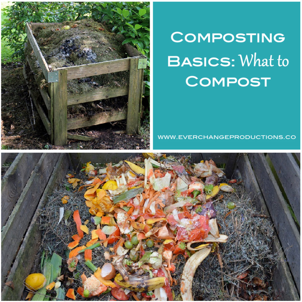When deciding what to compost, there are several factors to consider. Finding the right balance between nitrogen and carbon is the key to getting perfect compost, instead of a rotting mess or inactive compost. Follow these composting guidelines and get the perfect black gold for a prolific gardening season!