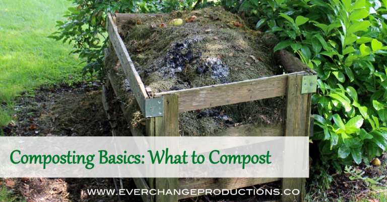 Composting Basics: What to Compost