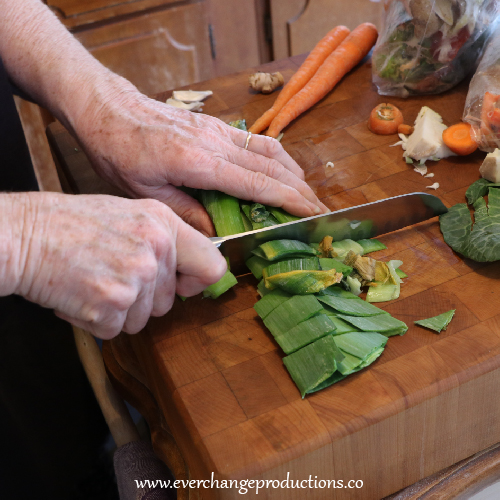 Homemade vegetable broth is a super easy way to use vegetable scraps, save money and make a nutrient-rich base for homemade soups and recipes. Our ingredients included food scraps, garlic, onions and celery and few extra seasonings.