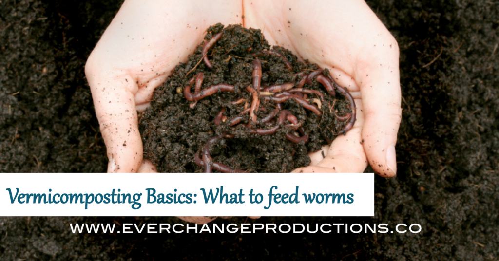 Knowing what to feed worms or what not to feed them will make or break a worm bin. Vermicompost is an easy, efficient way to recycle food wastes into effective compost, but it's important to know a few vermicomposting basics.