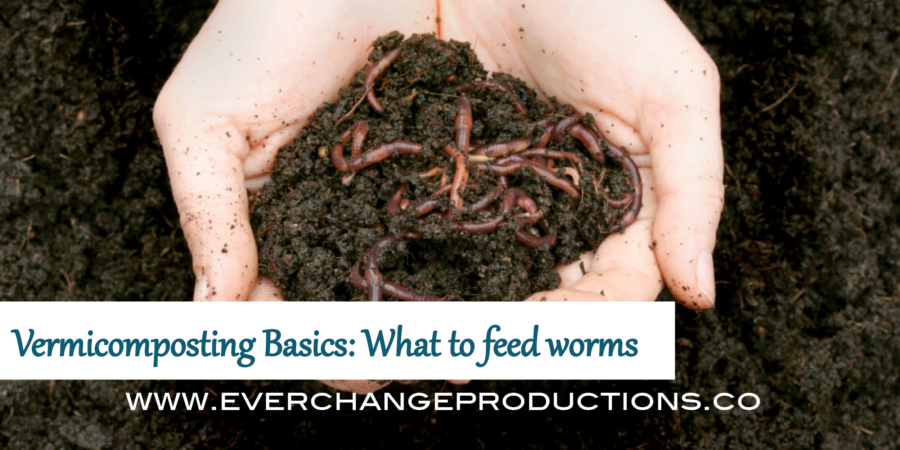 Knowing what to feed worms or what not to feed them will make or break a worm bin. Vermicompost is an easy, efficient way to recycle food wastes into effective compost, but it's important to know a few vermicomposting basics.