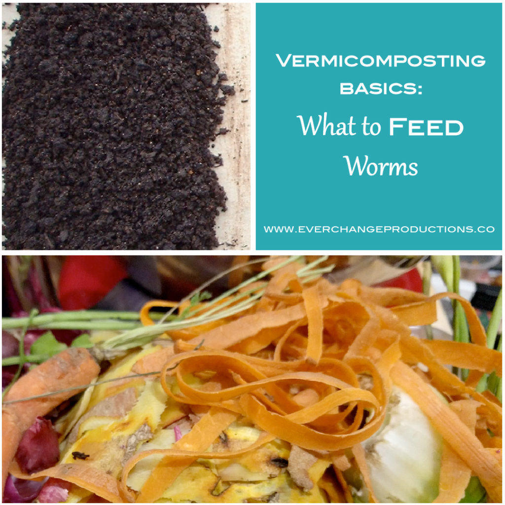 Knowing what to feed worms or what not to feed them will make or break a worm bin. Vermicompost is an easy, efficient way to recycle food wastes into effective compost, but it's important to know a few vermicomposting basics.
