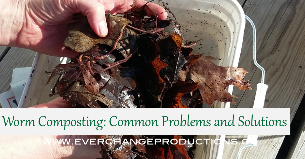 Worm composting is a great way to reduce food waste if you live in a small space or without a yard. However, there a few vermicomposting issues that need to be solved along the way. Check out these list of troubleshooting tips and get your worm bin running at optimal levels!