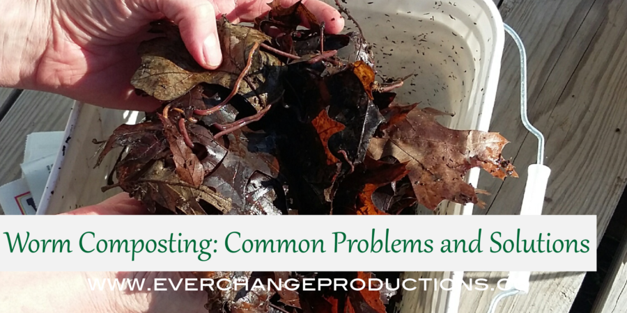 Worm composting is a great way to reduce food waste if you live in a small space or without a yard. However, there a few vermicomposting issues that need to be solved along the way. Check out these list of troubleshooting tips and get your worm bin running at optimal levels!