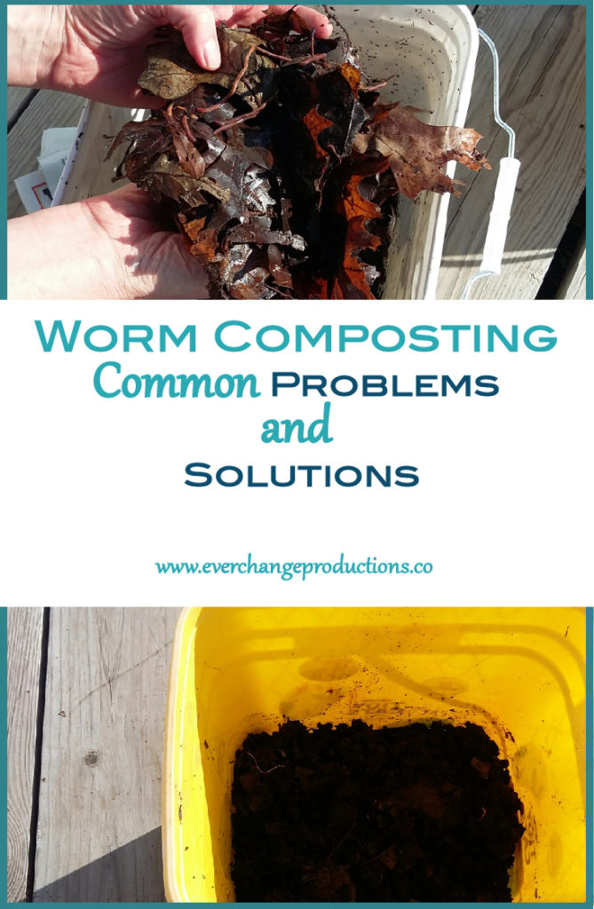 Worm composting is a great way to reduce food waste if you live in a small space or without a yard. However, there a few vermicomposting issues that need to be solved along the way. Check out these list of troubleshooting tips and get your worm bin running at optimal levels!