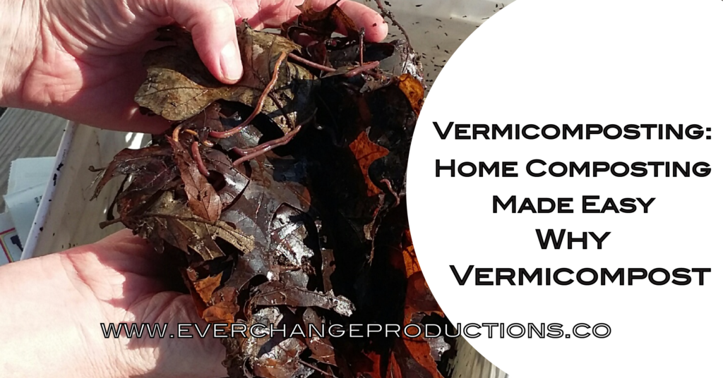 The idea of vermicomposting basics might make you squirm at first, but once you start you'll be glad you did! Composting is a great start for an eco-friendly life. Worm bins are a great way to reduce food waste without having a big compost pile.