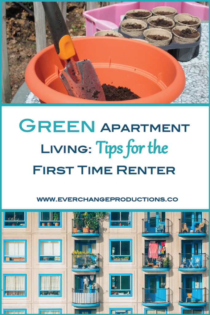 As a first time renter, green apartment living might seem impossible. This book breaks down the small changes that make a difference for the Earth and your pocket book. Learn everything from space-efficient gardening and ways to save on your electric bill to meal planning and upcycled projects to save money and space.