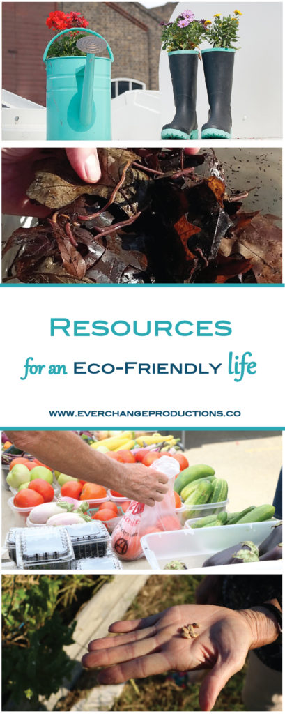 Do you want to live an eco-friendly life, but you don't know where to start? Whether you rent property, live in an apartment, or have acres to play with, these resources will help you get started on the path to a sustainable lifestyle!