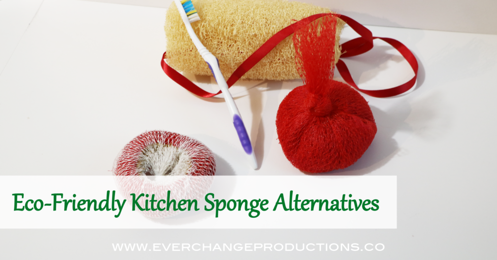 The cost of good dishwashing scrubbers are steep one at times, but with these alternative kitchen sponges, you'll never have to worry about that cost.