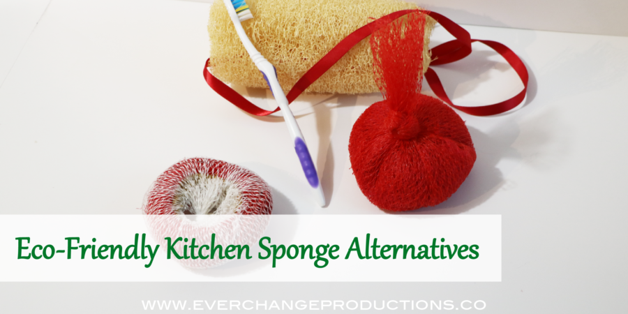 The cost of good dishwashing scrubbers are steep one at times, but with these alternative kitchen sponges, you'll never have to worry about that cost.