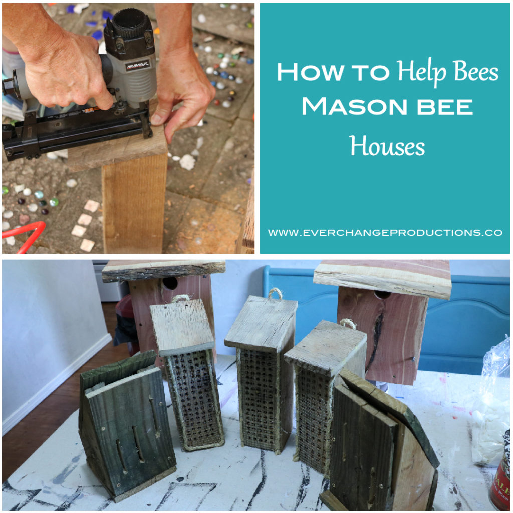 Mason bee houses are a great way to encourage mason bees to inhabit your garden. Get a mason bee house tutorial and 9 other ways to help bees in your yard!