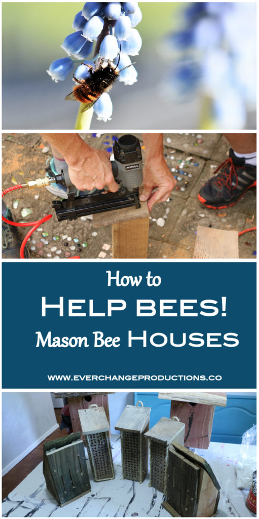 Mason bee houses are a great way to encourage mason bees to inhabit your garden. Get a mason bee house tutorial and 9 other ways to help bees in your yard!