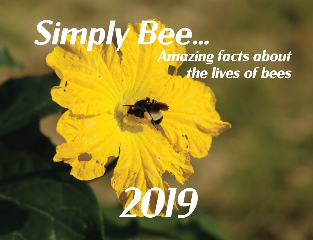 2019 Wall Calendar Simply bee...Amazing facts about the life of bees
