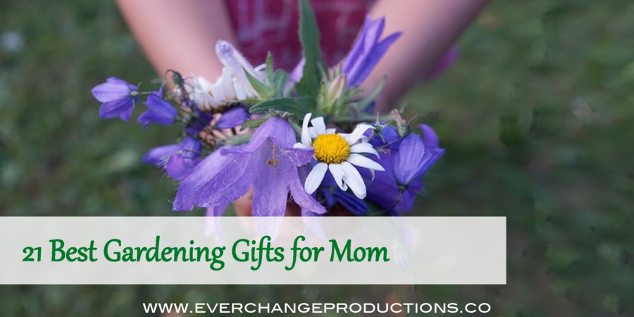 My mother is an avid gardener and so she, of course, inspired this post, as I am often searching for the perfect gardening gift for her. If you're mother has gardened for a while, then she probably has all the basic gardening tools, so this list is made of more unique or advanced gardening gifts for mom. I wanted to share this gardening gift guide for others on their hunt to find the best gardening gifts for mom.