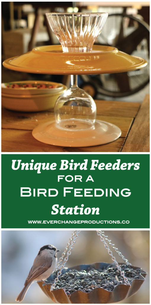 bird feeder ideas to get you started on your way to a lovely bird feeding station using mostly materials you can find around your house