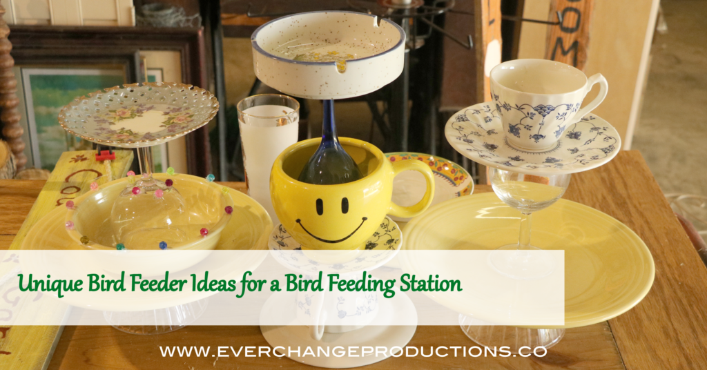 These unique bird feeder ideas are perfect for any backyard bird feeding station because they draw in the birds that add to a healthy backyard ecosystem.