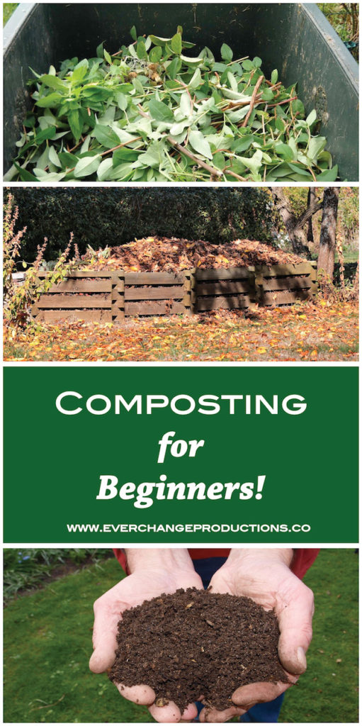 Composting might seem like a daunting task, but this post is everything you need to know about the basics of composting for beginners.